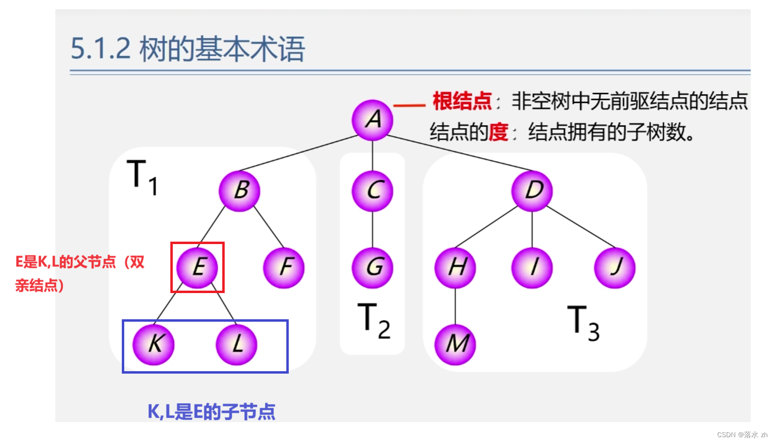 数据结构——树和二叉树的基本概念,在这里插入图片描述,词库加载错误:未能找到文件“C:\Users\Administrator\Desktop\火车头9.8破解版\Configuration\Dict_Stopwords.txt”。,操作,没有,进行,第3张