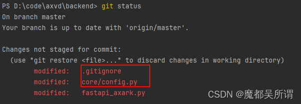 【git】git ignore如何添加core/config.py忽略