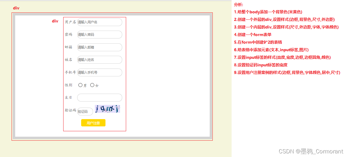 CSS 入门指南（二）CSS 常用样式及注册页面案例