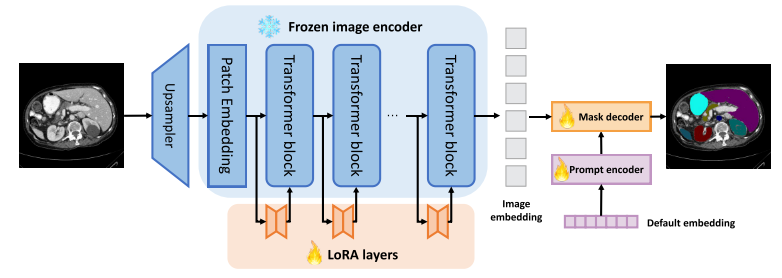 【论文阅读笔记】Customized Segment Anything Model for Medical Image Segmentation