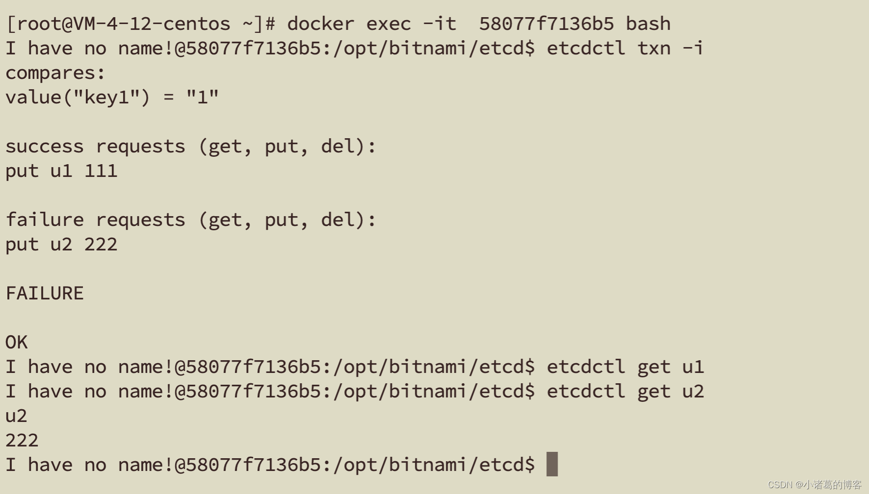 etcdctl txn如何使用