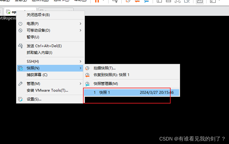 vmware 安装 openEuler