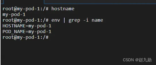 pod name 传到容器内部环境变量