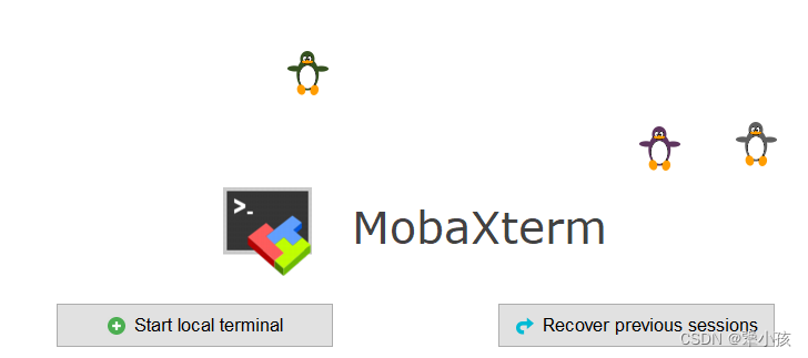 MobaXterm游戏讲解