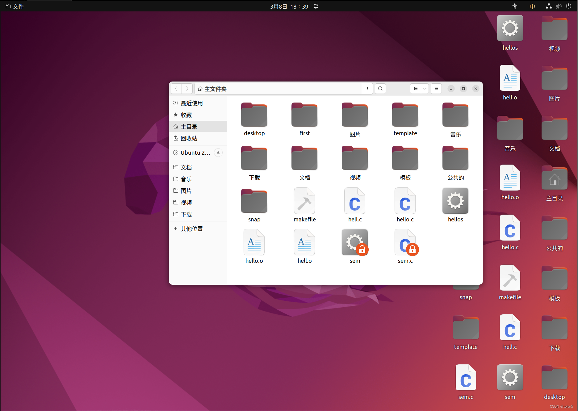 【Linux】解决Ubuntu主目录文件在桌面的方法_ubunte 桌面显示主目录-CSDN博客