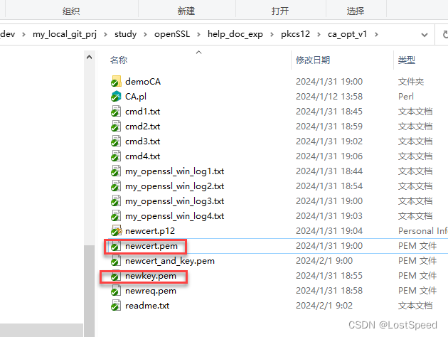 openssl3.2 - 官方demo学习 - pkcs12 - pkwrite.c