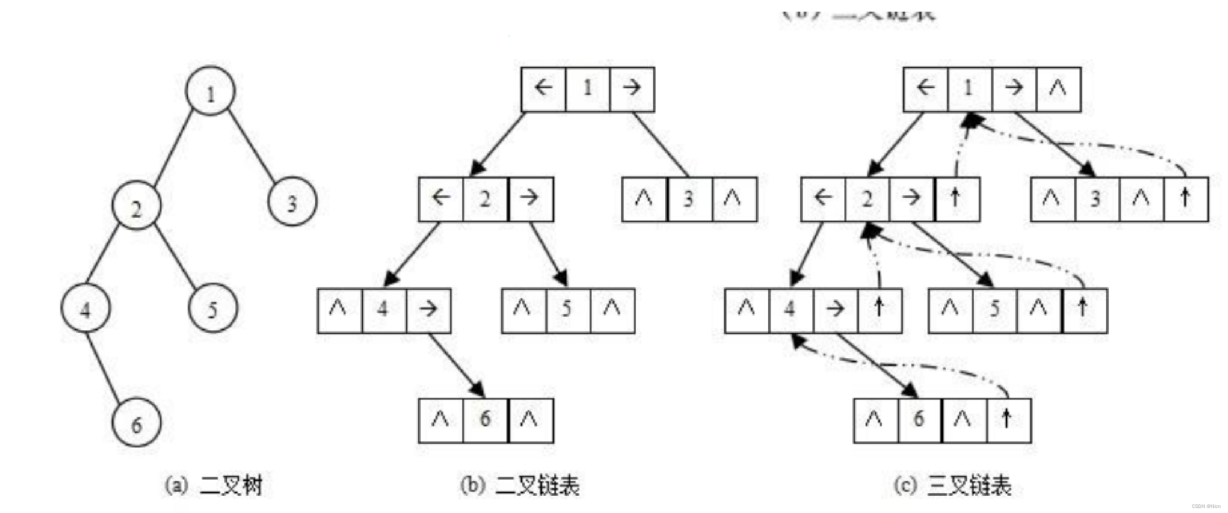 【数据结构和算法初阶(C语言)】二叉树学习日记①--树的概念/二叉树的概念、知识和存储结构