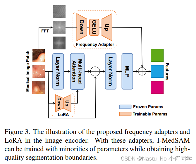 【SAM系列】I-MedSAM: Implicit Medical Image Segmentation with Segment Anything