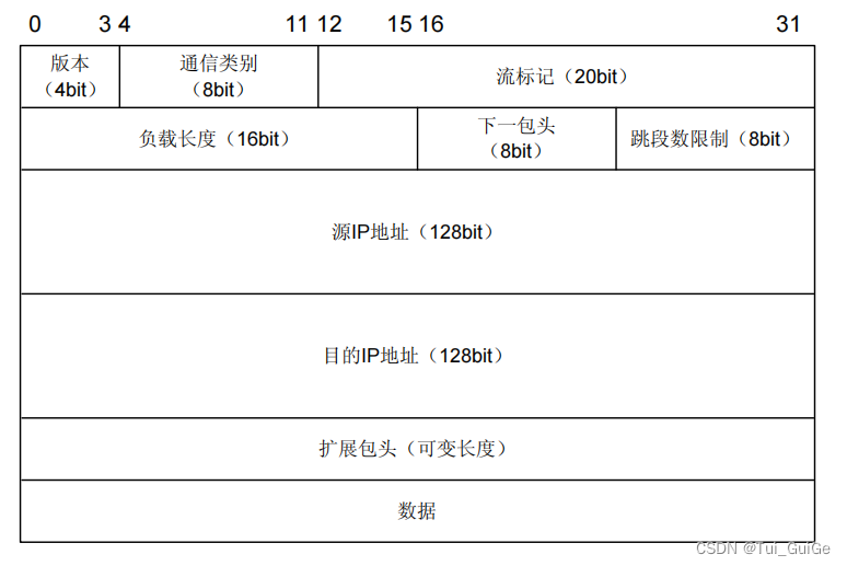 IPv6 数据报格式