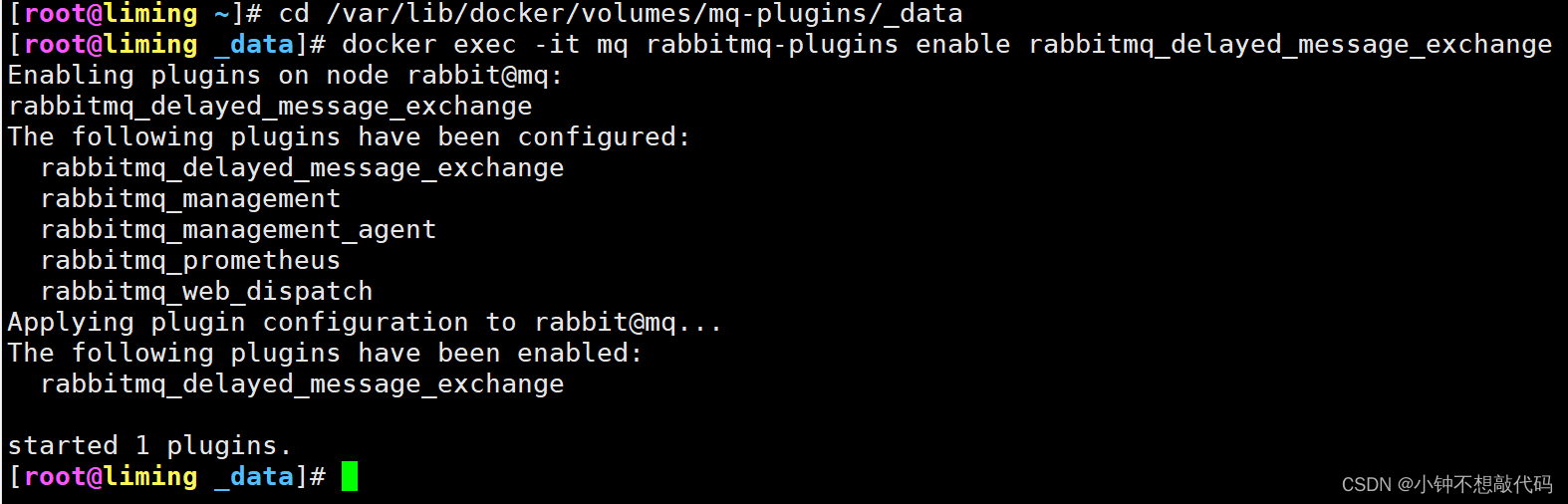 RabbitMQ 高级