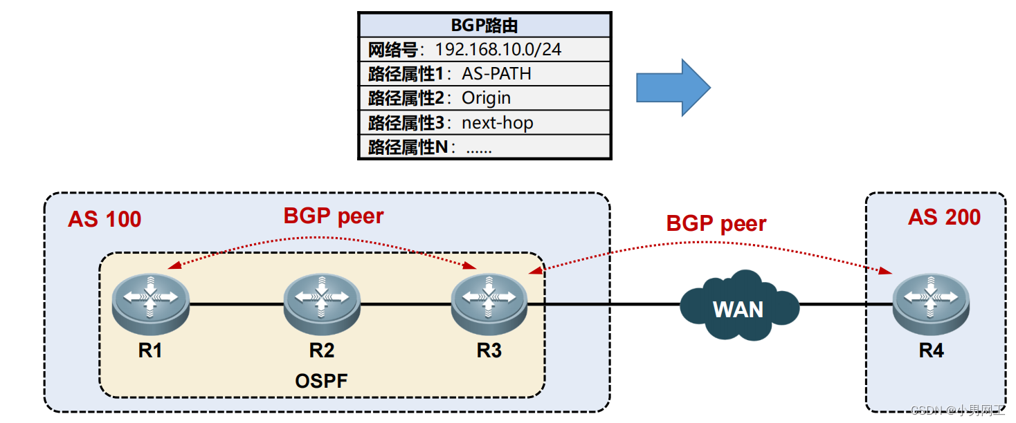 BGP的基本概念和工作原理