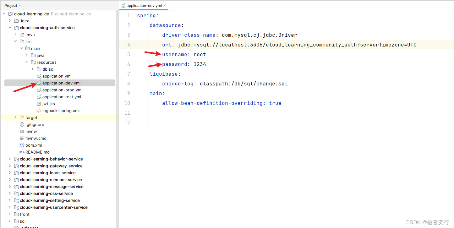 运行项目cloudlearningce遇到的一系列问题—解决办法CSDN博客