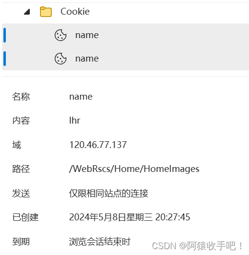 【HTTP下】总结{重定向/cookie/setsockopt/流操作/访问网页/总结}