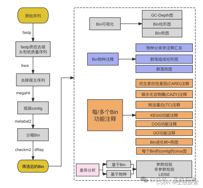 宏基因组｜使用MEGAHIT组装