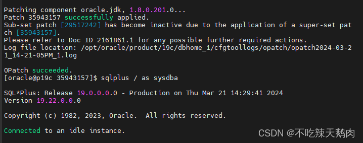oracle19c单实例补丁升级和回退