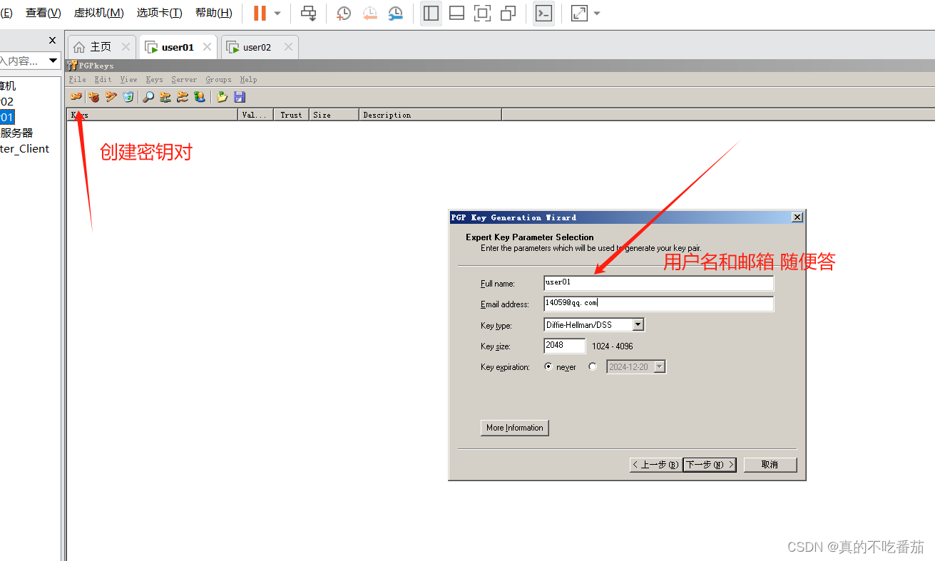 PI/PO PGP 加密解密_sap pi pgp-CSDN博客