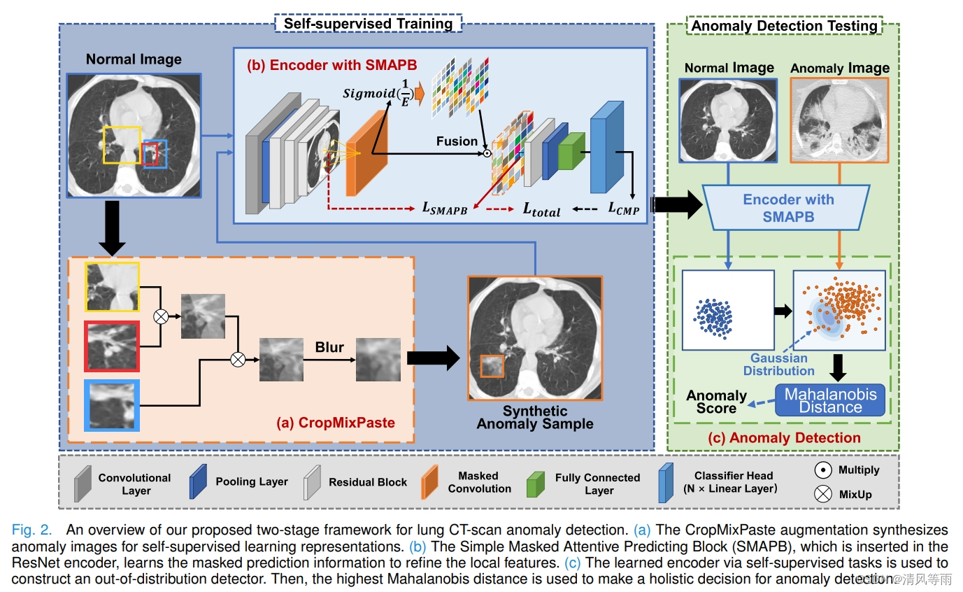 IEEE Transactions on Medical Imaging(TMI)论文推荐：2024年01月(2)