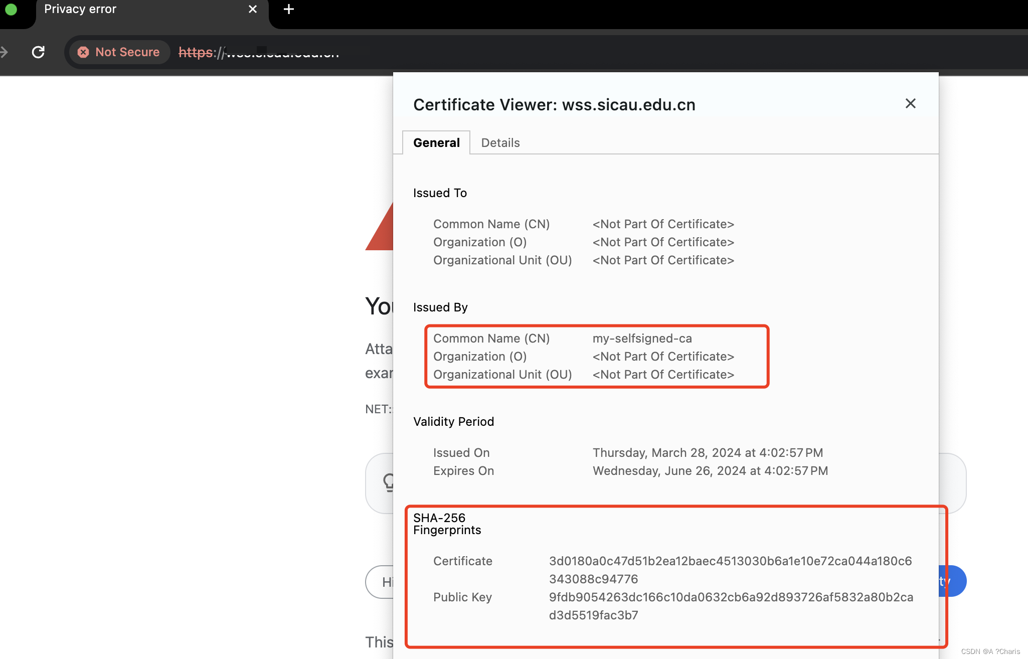 记录一次使用cert-manager-颁发CA证书