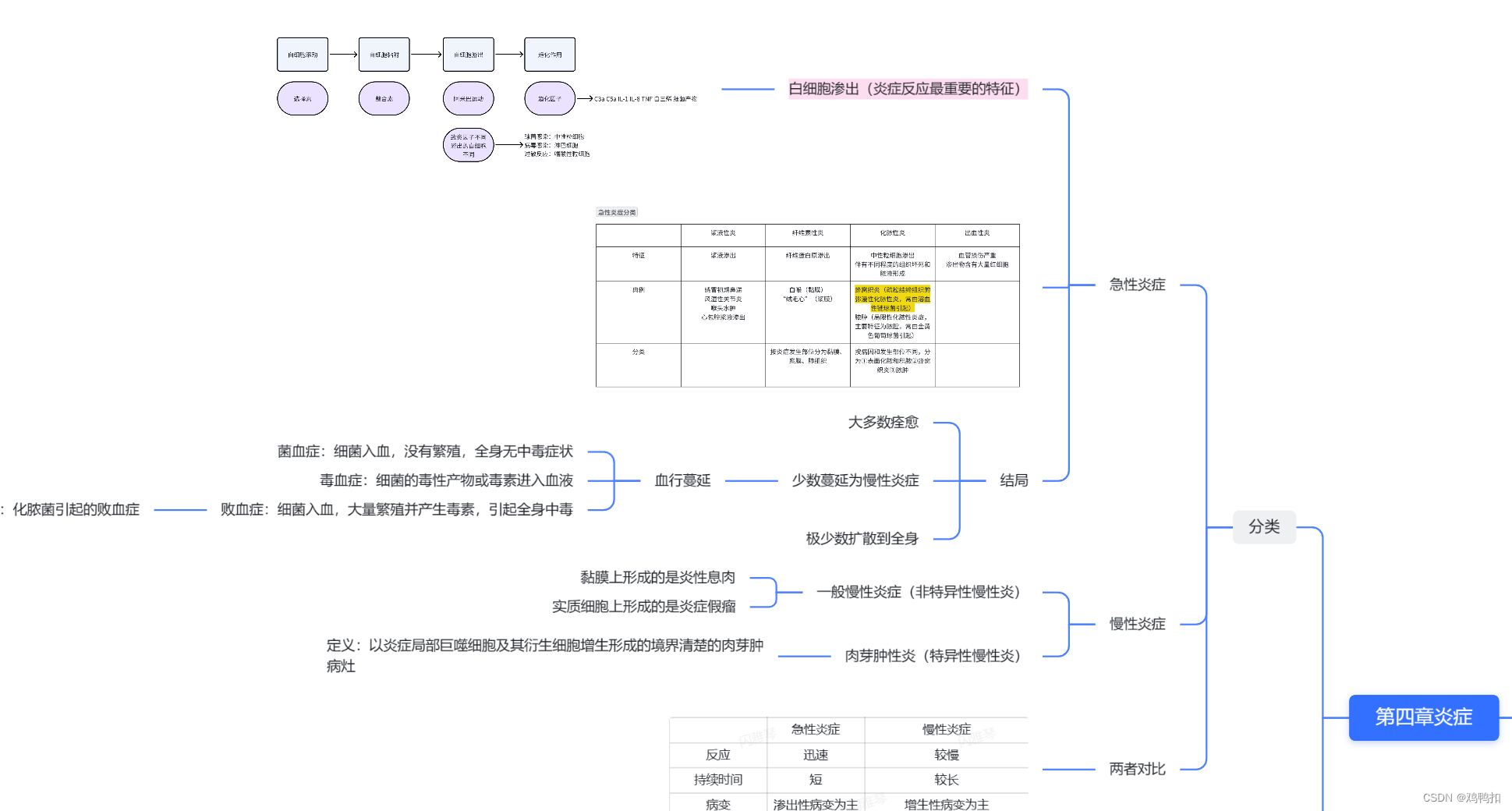 （自用）病理学第四章炎症重点知识思维导图和考试真题总结（深大特供）