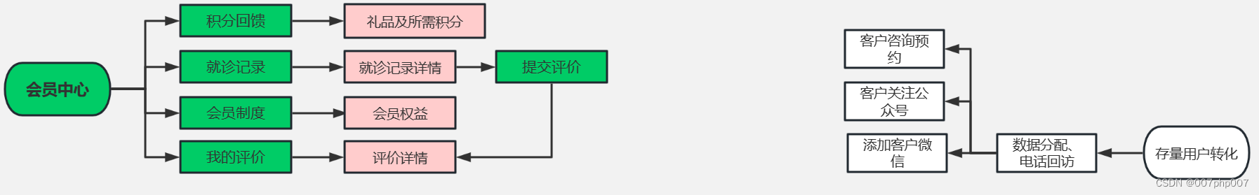 探索口腔系统功能架构的演变与未来