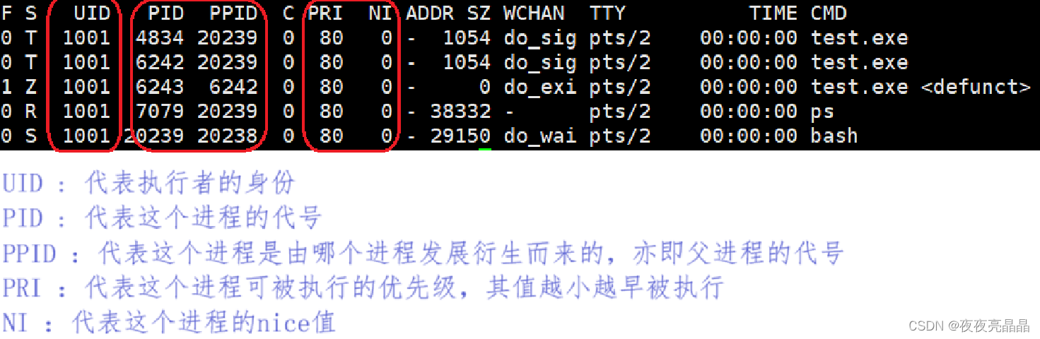 Linux进程概念(2)