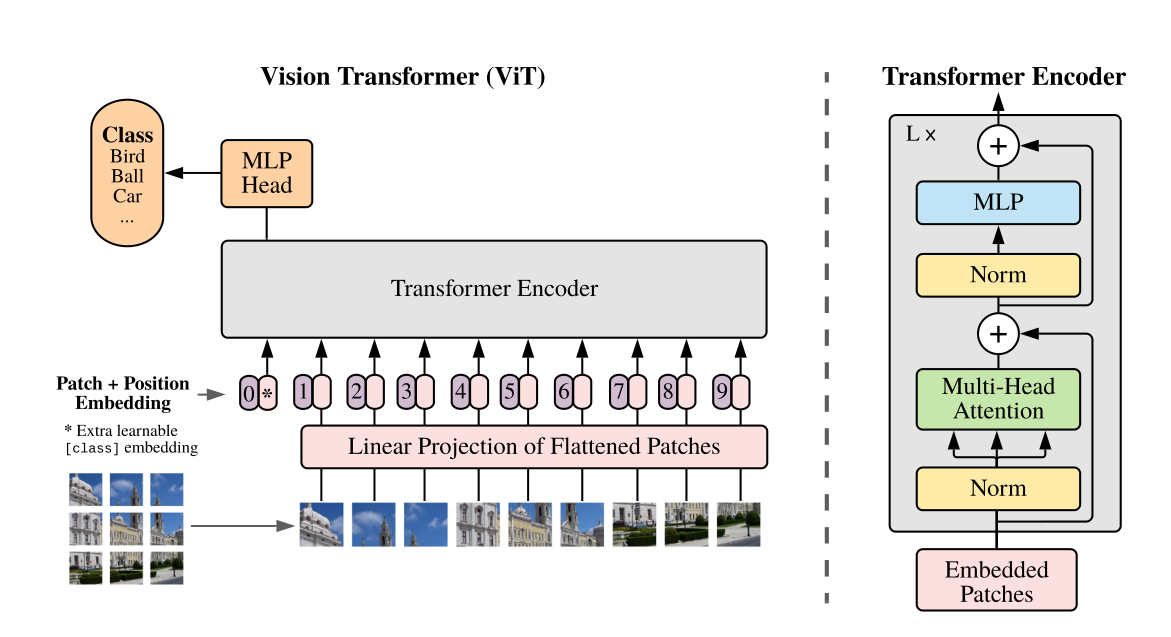 论文阅读之AN IMAGE IS WORTH 16X16 WORDS: TRANSFORMERS FOR IMAGE RECOGNITION AT SCALE