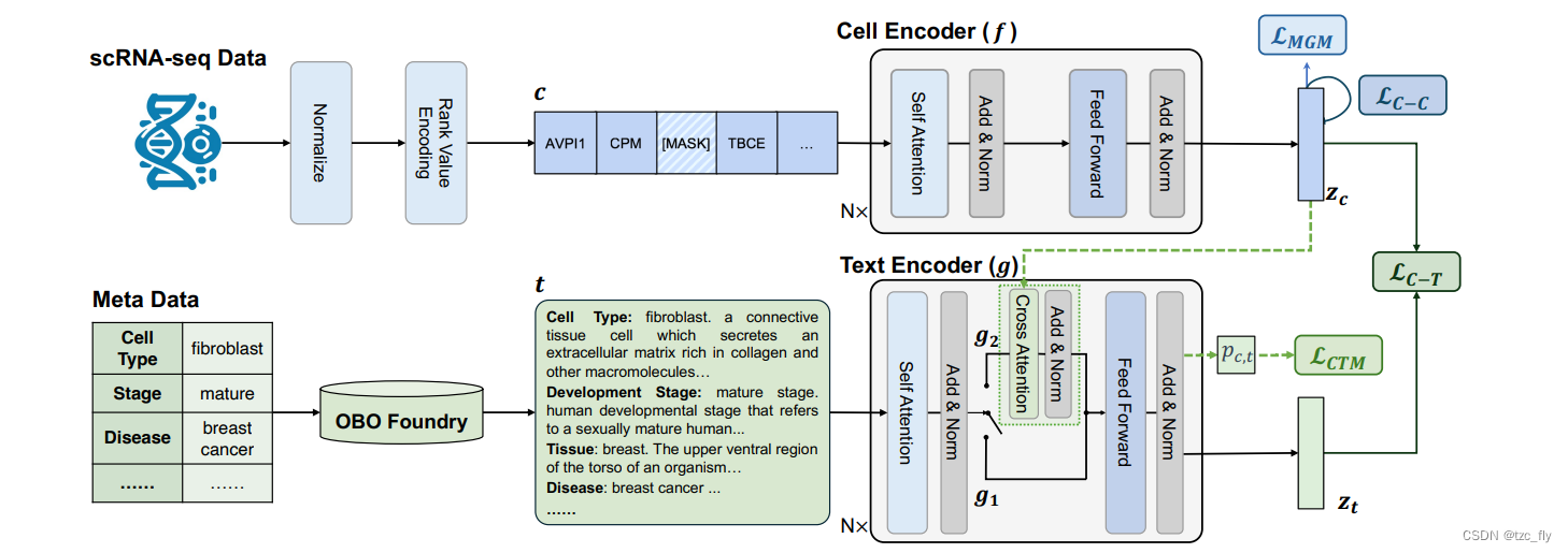 fig2