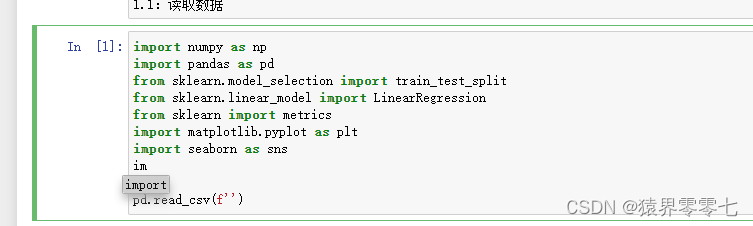 Jupyter Notebook输入python代码没智能提示