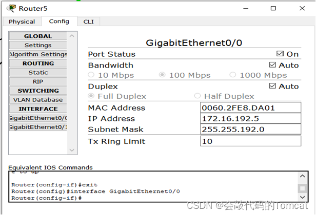 计算机网络综合组网实验
