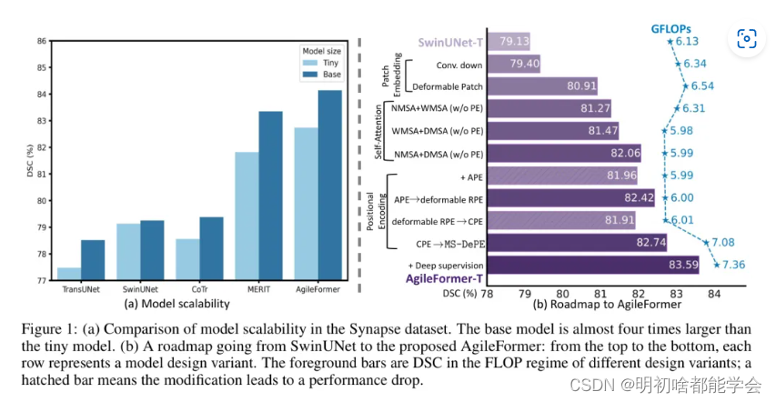 AGILEFORMER：用于<span style='color:red;'>医学</span><span style='color:red;'>图像</span><span style='color:red;'>分割</span>的空间敏捷 Transformer <span style='color:red;'>UNET</span>