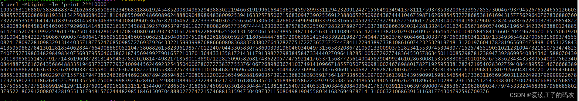 用perl解决小朋友问的2的10000次方是多少的问题