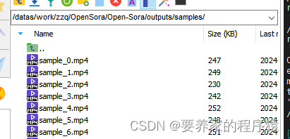 Open-Sora环境搭建推理测试