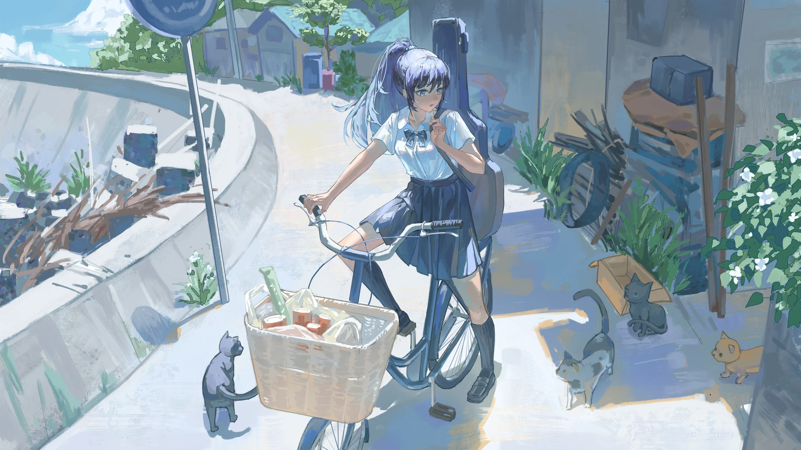 cover