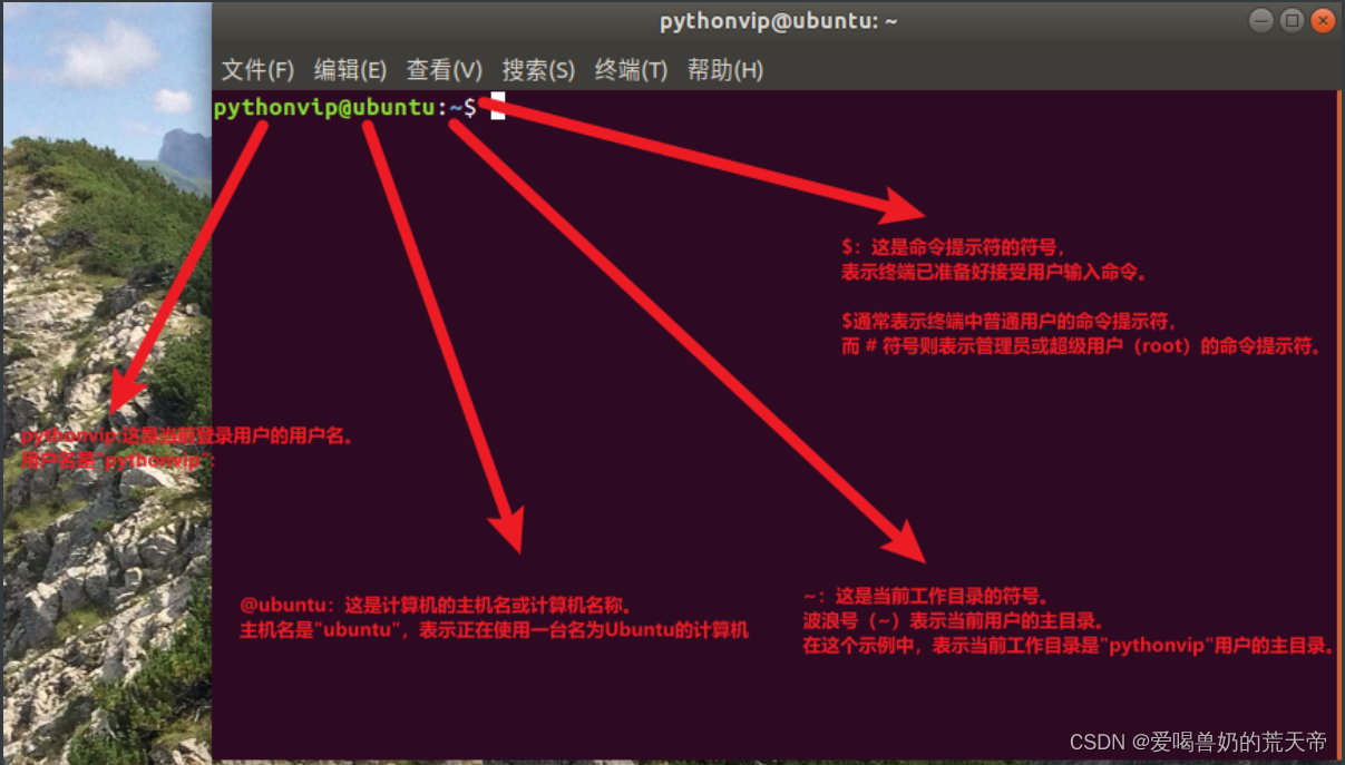 【Linux环境搭建实战手册】：打造高效开发空间的秘籍