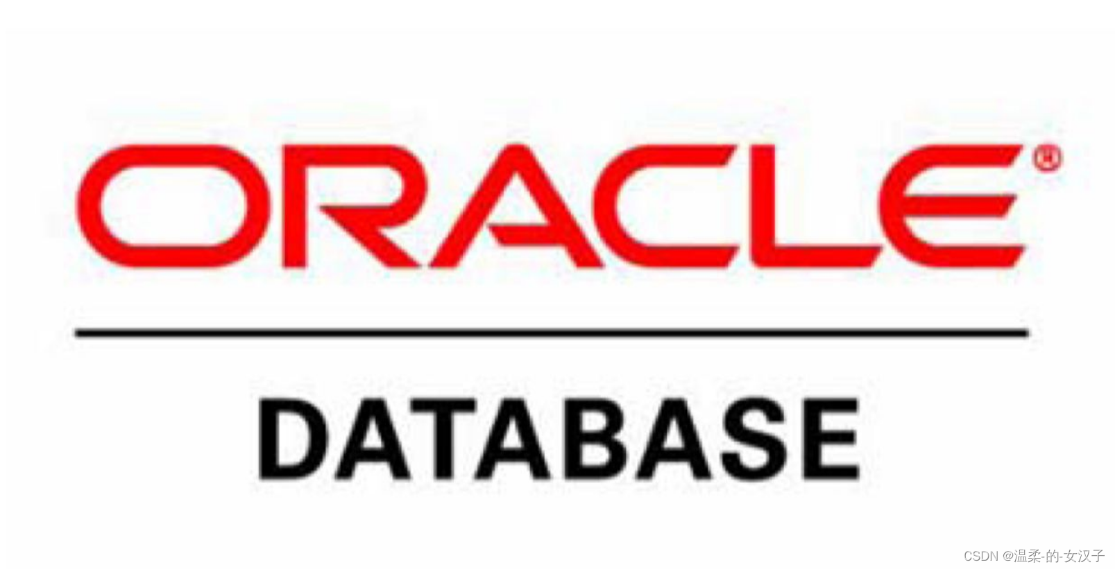 Oracle 数据库维的建立