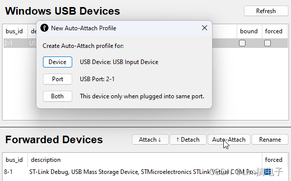 WSL2 Ubuntu装ESP-IDF以及USB使用