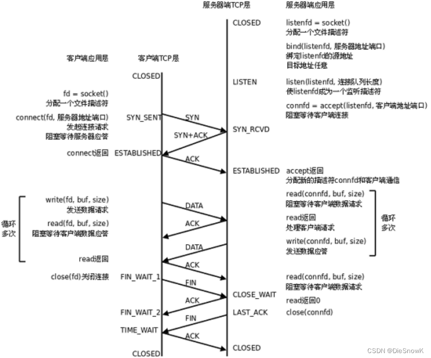 [Linux][网络][网络编程套接字][二][Socket编程接口][地址转换函数][TCP协议通讯流程]详细讲解