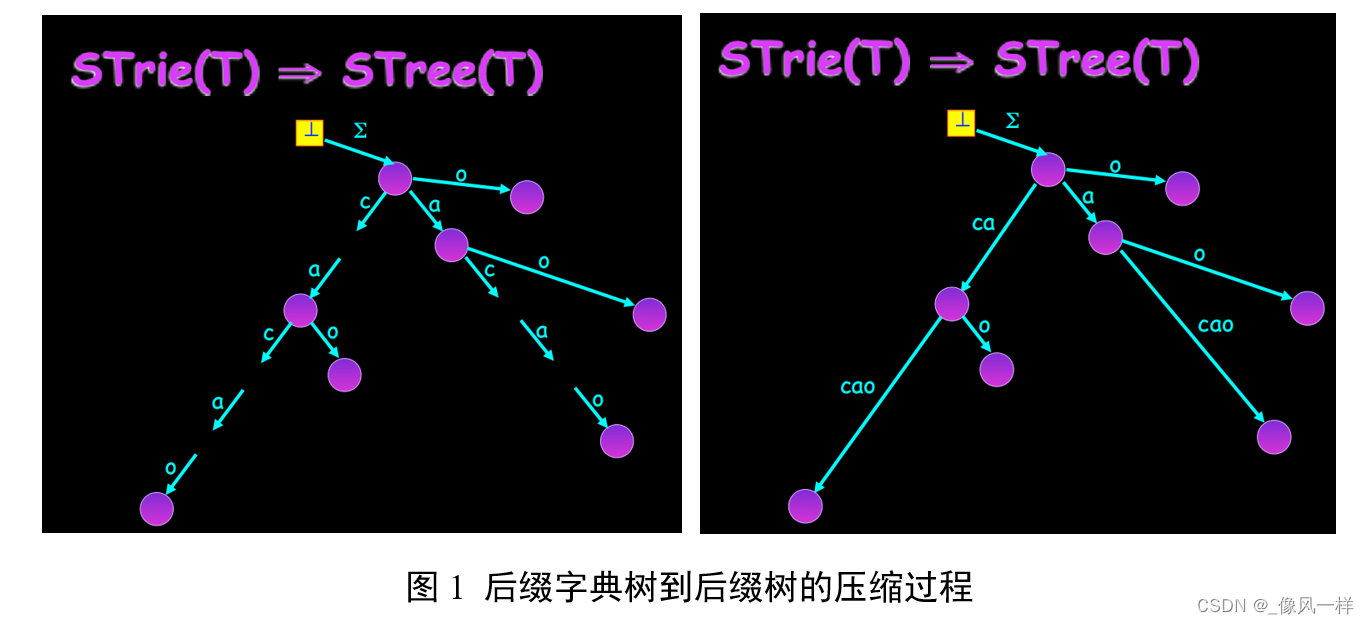 图1 后缀字典树到后缀树的压缩过程