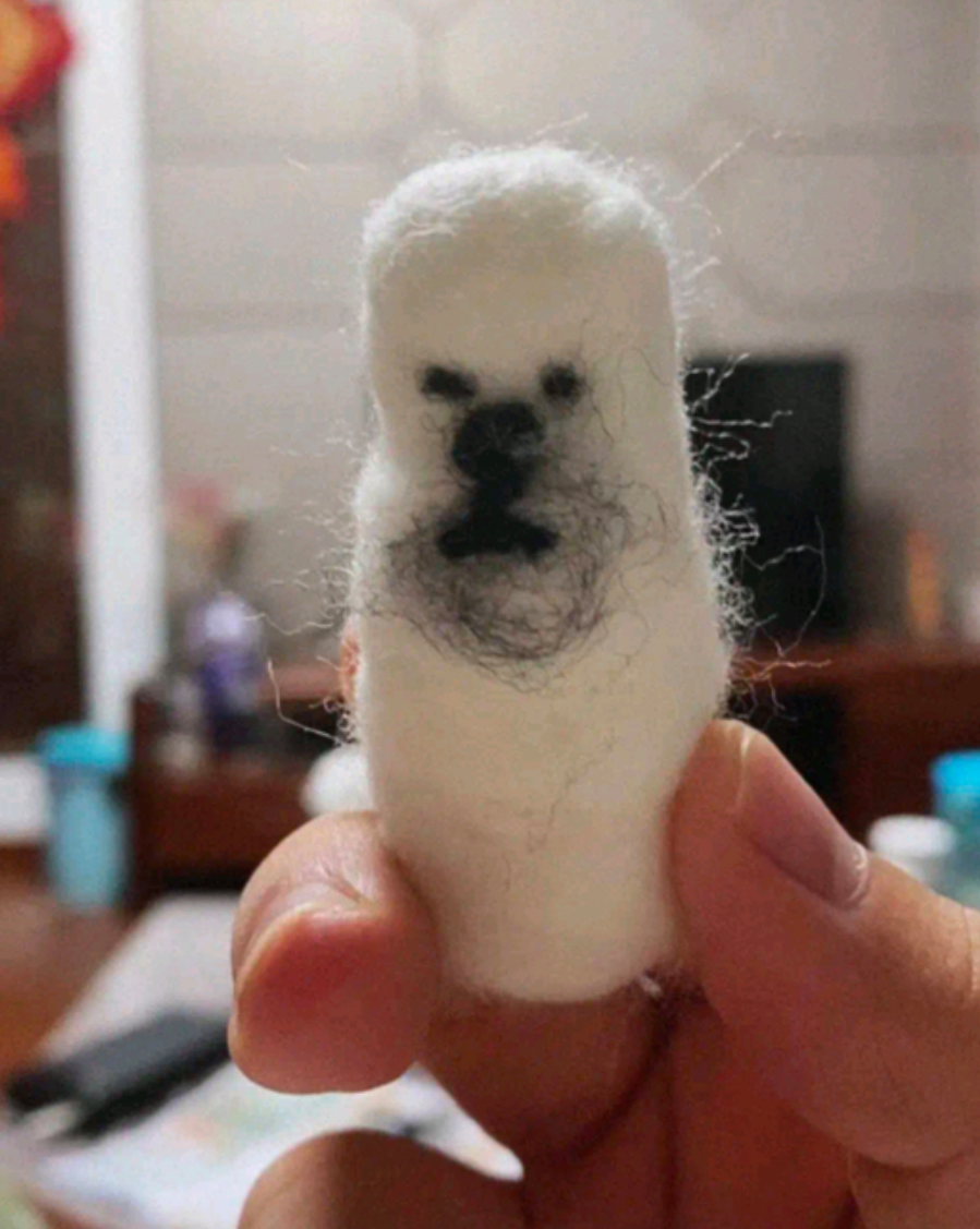 壁纸 动物 狗 狗狗 899_1127 竖版 竖屏 手机