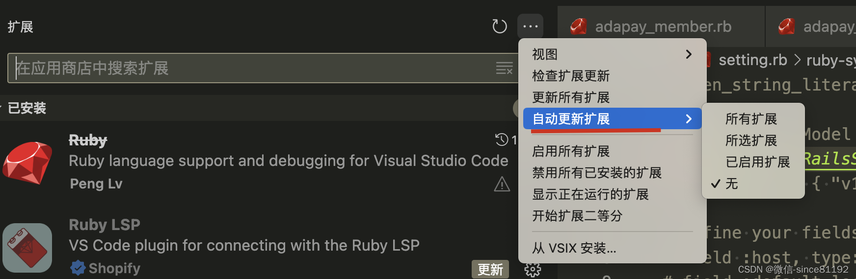 [ruby on rails] ruby使用vscode做开发