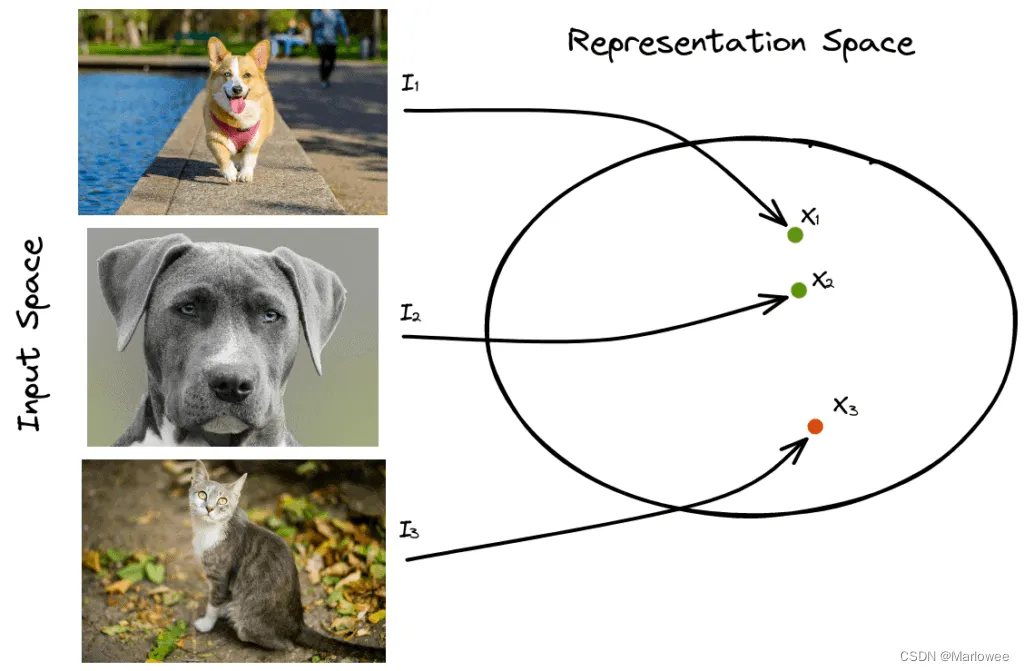 contrastive learning demo