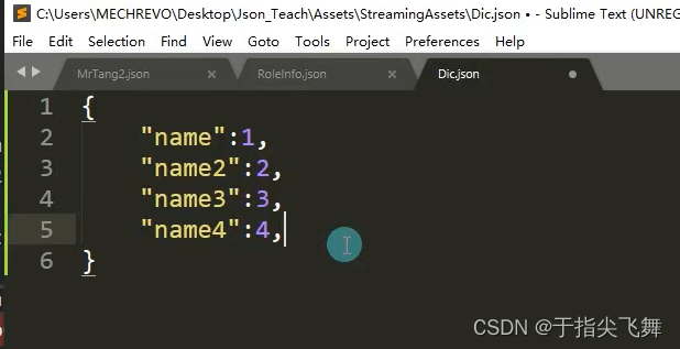 Unity数据持久化之Json