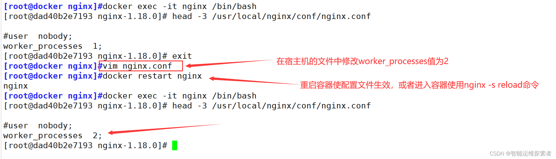 Dokcer容器分布式搭建LNMP+wordpress论坛