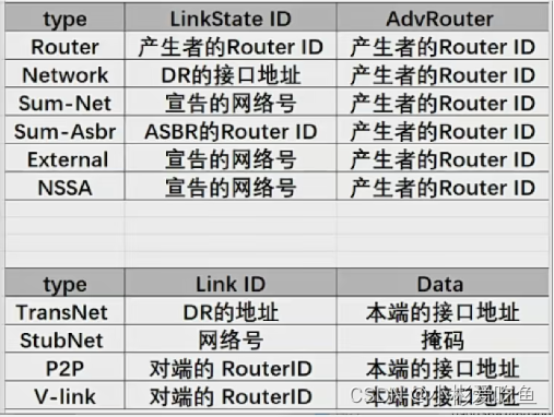 ospf的路由计算