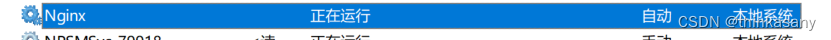 【nginx】随笔<span style='color:red;'>记录</span><span style='color:red;'>一下</span>windows 踩<span style='color:red;'>坑</span>