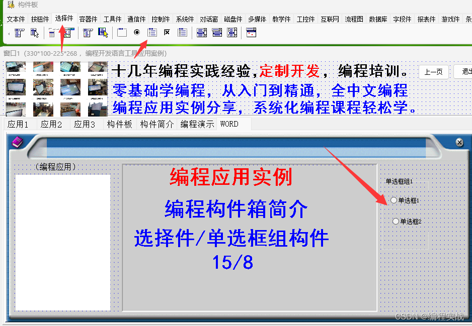 自学编程推荐一个容易学的中文编程工具，构件箱之单选框组简介