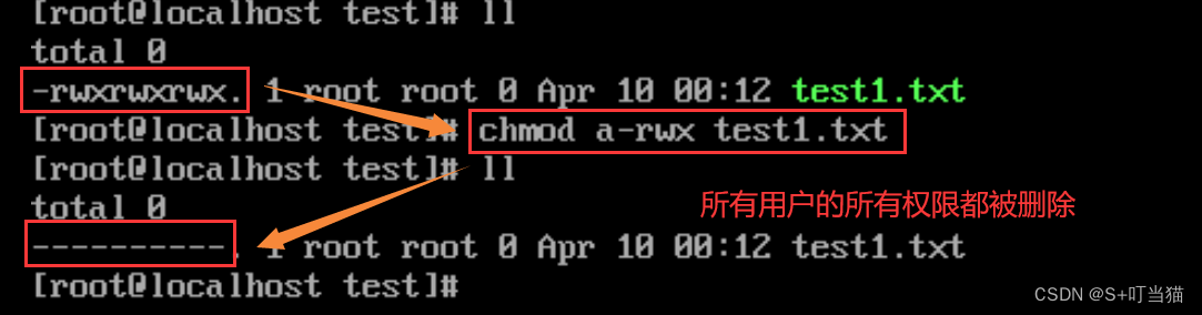 Linux基础指令补全，权限问题分析—3