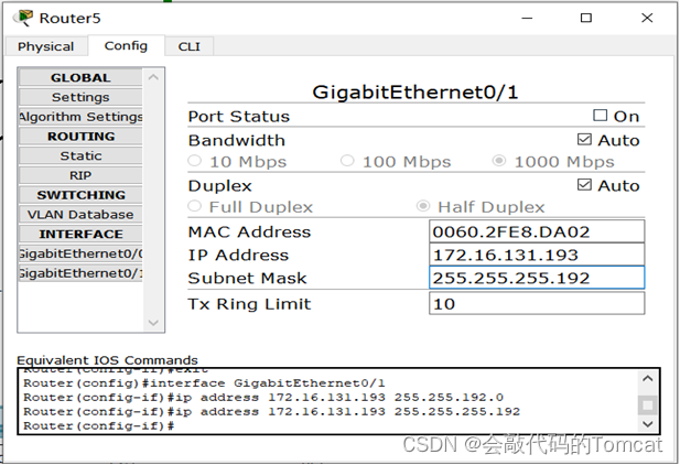 计算机网络综合组网实验