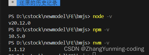 vscode下无法识别node、npm的问题