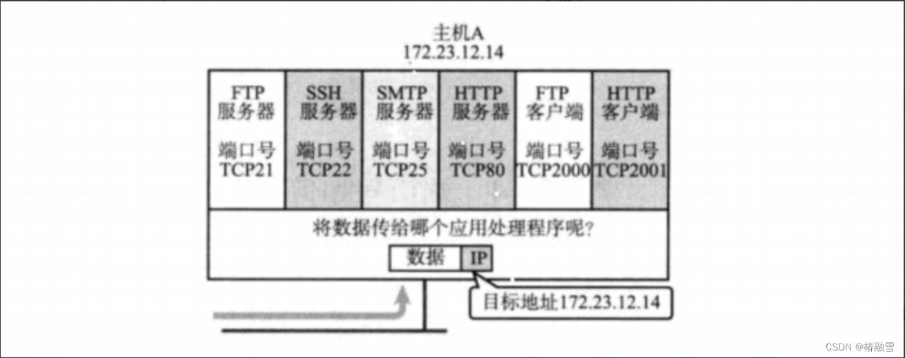 【计算机网络】UDP协议与TCP协议